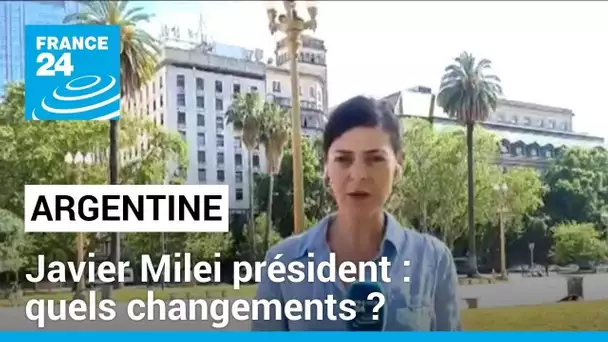 Argentine : victoire de Javier Milei à la présidentielle, à quels changements s'attendre ?