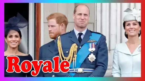 Kate et William offriront un ram3au d'olivier à Meghan et Harry avec le déménagement de Noël