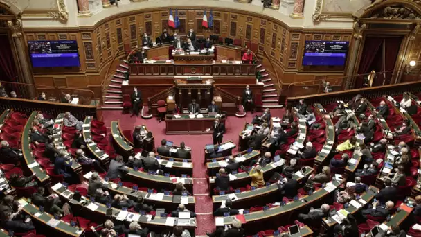 Pass vaccinal : le Sénat vote un texte sensiblement modifié