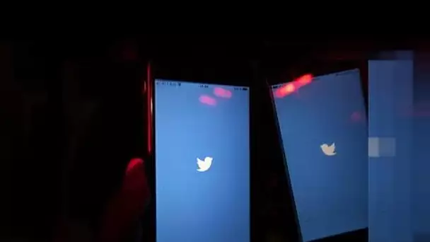 "Twitter Blue", un nouveau service payant à venir