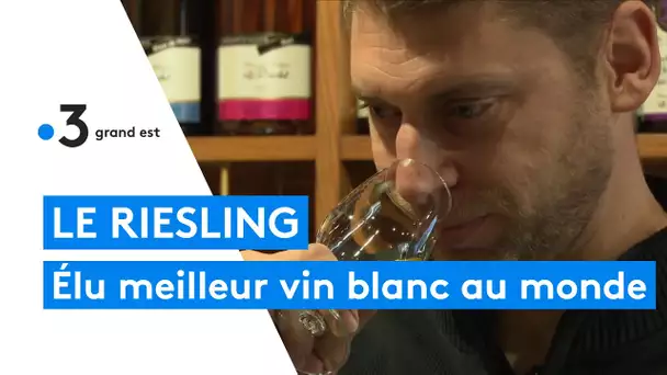 Bas-Rhin : le meilleur vin blanc au monde est un riesling