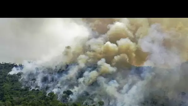 Déforestation record sous Jair Bolsonaro, Lula promet de protéger la forêt amazonienne