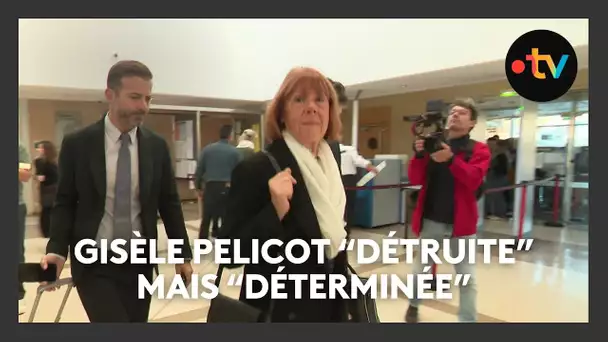 Procès des viols de Mazan : Gisèle Pelicot "détruite" mais "déterminée"