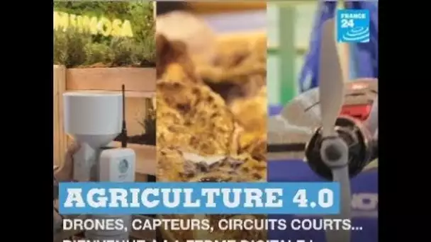 Agriculture 4.0 : drones, capteurs, circuits courts... bienvenue à la ferme digitale !