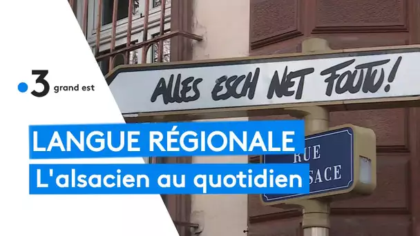 Langue régionale : l'alsacien au quotidien