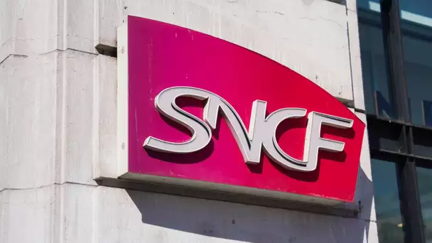 SNCF : un mouvement de grève qui tombe pendant les négociations salariales