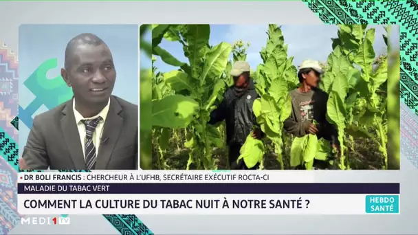 #HebdoSanté .. Maladie du tabac vert : Comment la culture du tabac nuit à notre santé?