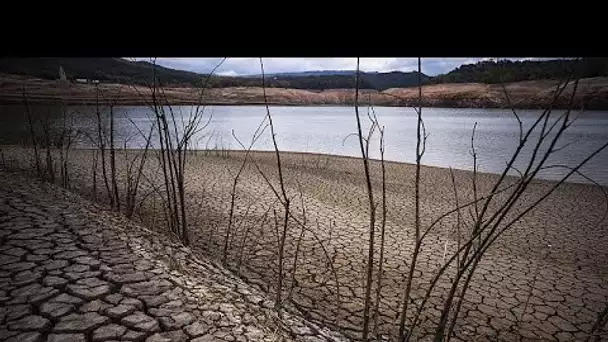 La loi sur la restauration de la nature survit au premier vote du Parlement européen