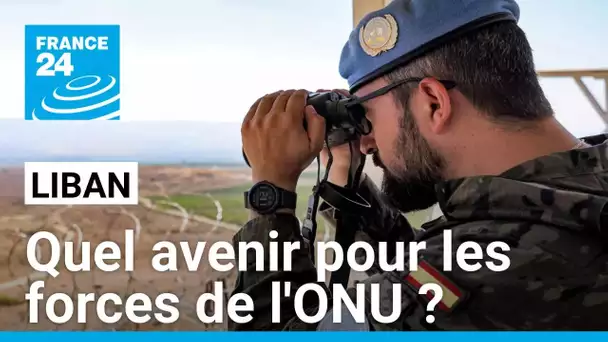 Quel avenir pour la Finul au Liban ? France 24 reçoit un responsable au sein de l'ONU