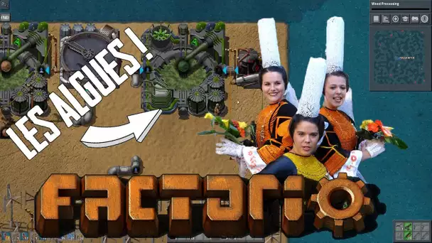 LES ALGUES BRETONNES !! Factorio - Sea Block Pack #2