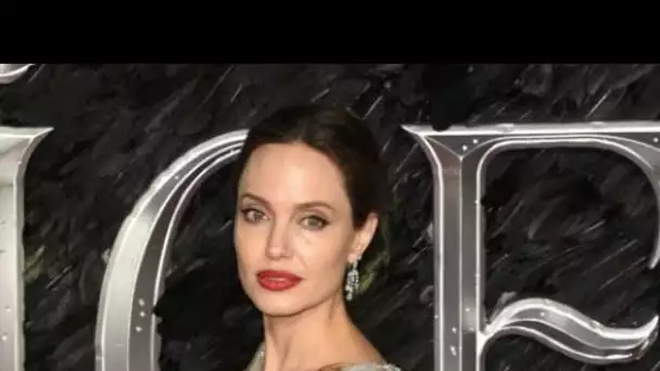 Coronavirus : l'appel à l'aide d'Angelina Jolie au Congrès américain
