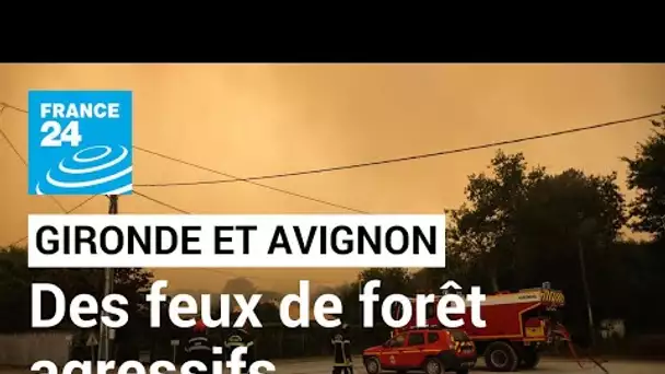 En Gironde et près d’Avignon, des feux de forêt agressifs et une forte canicule • FRANCE 24