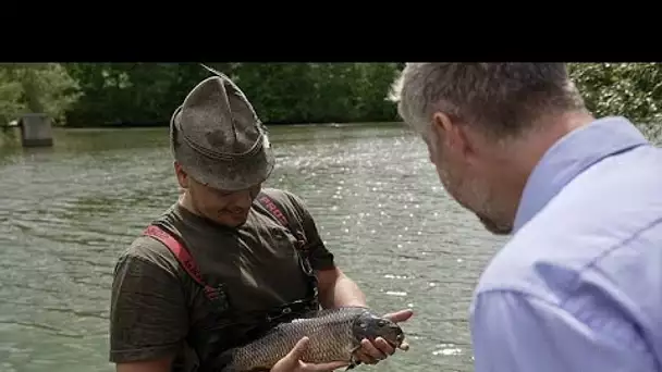 République Tchèque : élever des poissons dans des étangs pour aider l'environnement