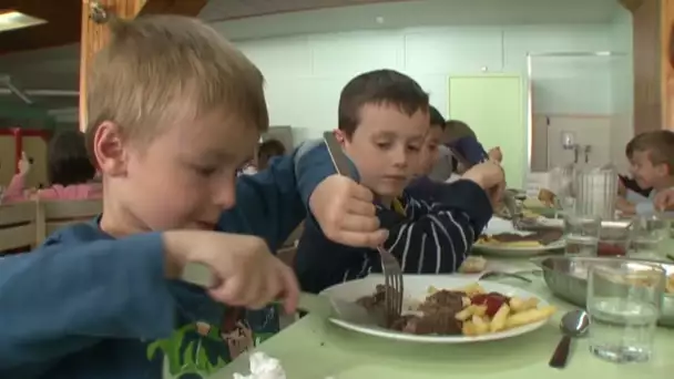 Premier jour de classe verte sans papa et maman…