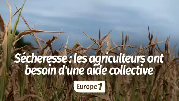 Sécheresse : les agriculteurs "ont besoin que tout le monde mette la main à la poche" pour les aider