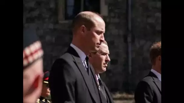 Harry « désaxé » face à William si parfait : cette attaque en règle