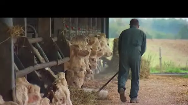 L'agriculture française, l'oubliée de la crise ?