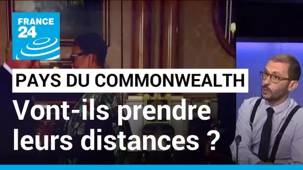 Charles III prend ses fonctions : le roi rencontre les représentants du Commonwealth • FRANCE 24