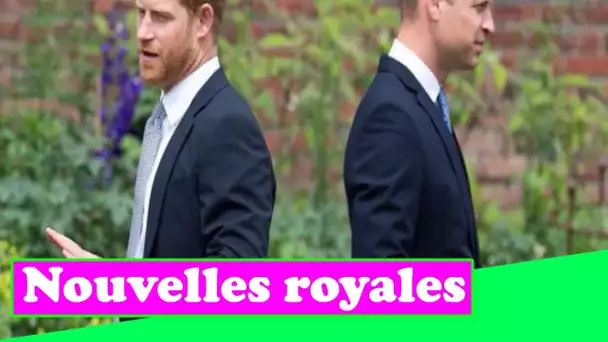 "Peu de progrès" ont été réalisés dans la rupture de Harry avec William et Charles, selon l'auteur