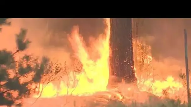 Russie : importants feux de forêts dans la République des Maris