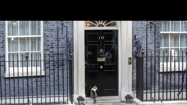 Qu'est-ce que le 10 Downing Street ?