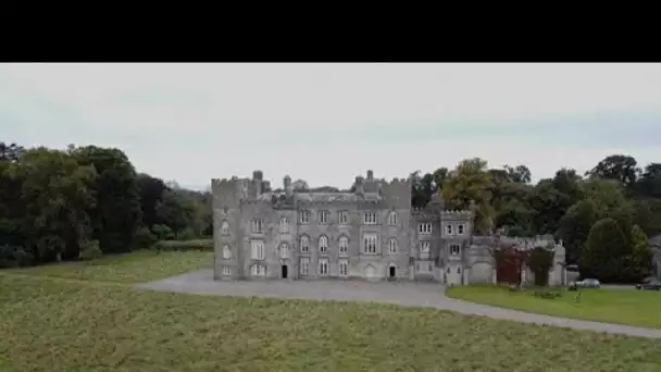 Changement climatique : un baron irlandais réensauvage ses terres