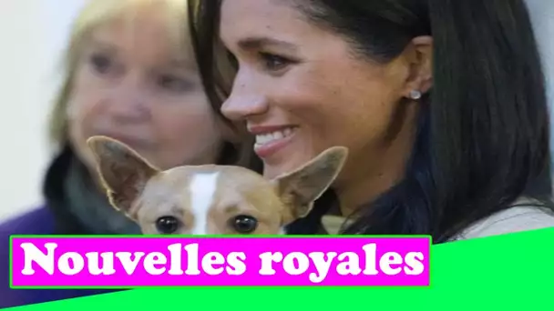 L'amante des chiens Meghan Markle dans un message touchant aux propriétaires d'animaux du monde enti