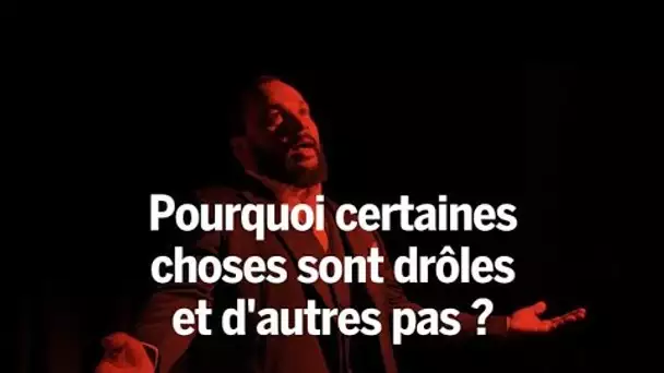 Pourquoi certaines choses sont drôles et d'autres pas