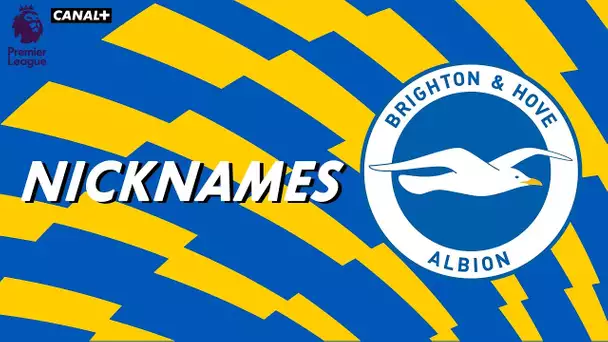 Nicknames - Les "Seagulls" de Brighton and Hove Albion