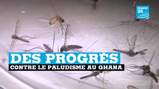 Ghana, des progrès contre le paludisme