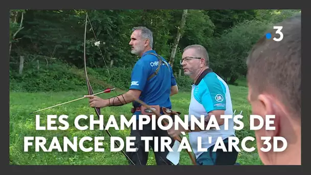 Marchaux : championnats de France de tir à l'arc sur cible 3D4617590