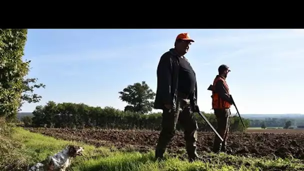 Interdire partiellement la chasse ? Une "hypocrisie incroyable" pour la Fédération des chasseurs