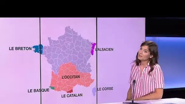 Les langues régionales françaises, un trésor national • FRANCE 24