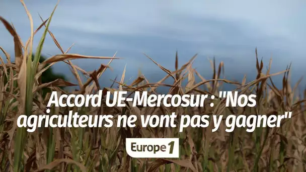 Accord UE-Mercosur : "Les agriculteurs français ne vont pas y gagner", selon la FNSEA