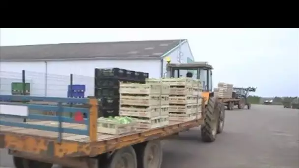 Agriculteurs, entre passion et colère - Reportage