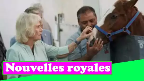 Camilla félicitée pour sa visite à l'hôpital des ânes au Caire - "Incroyable de l'avoir ici"