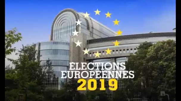 Soirée élections européennes : l’hémicycle décrypté par les experts (PARTIE 4)