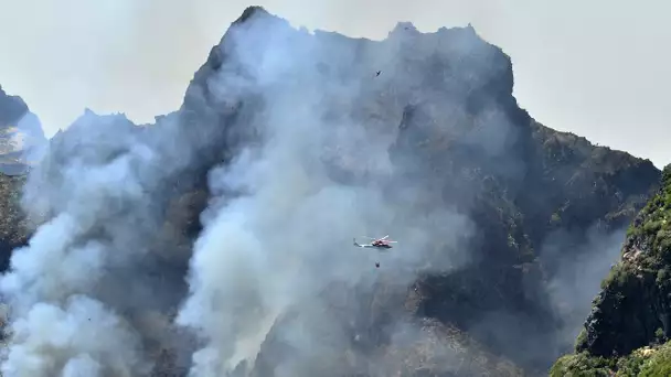 «On est en plein état de stress» : coincés sur l'île de Madère à cause des incendies, des tourist…