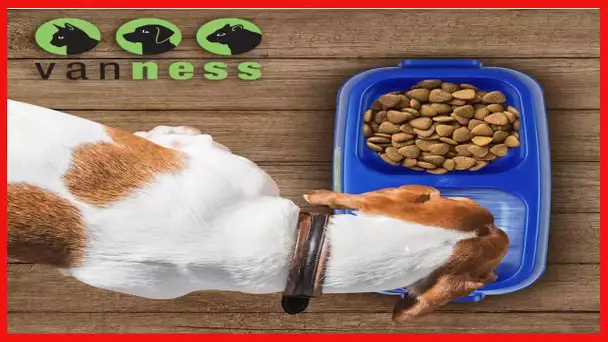 Van Ness Pet Lightweight Medium Double Dish Feeder For Cats And Dogs, 42 OZ Capacity