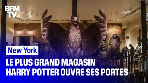 Le plus grand magasin Harry Potter au monde vient d'ouvrir ses portes à New York