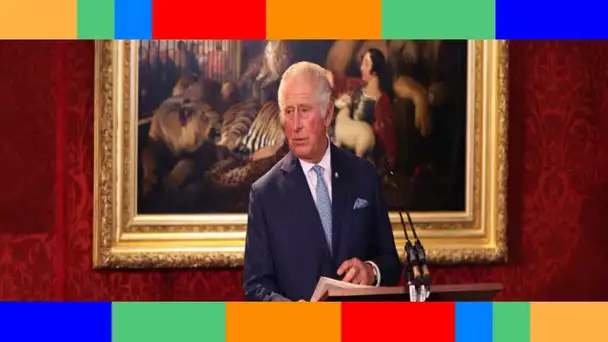 Le saviez vous  Le prince Charles est l’un des artistes les mieux payés au Royaume Uni