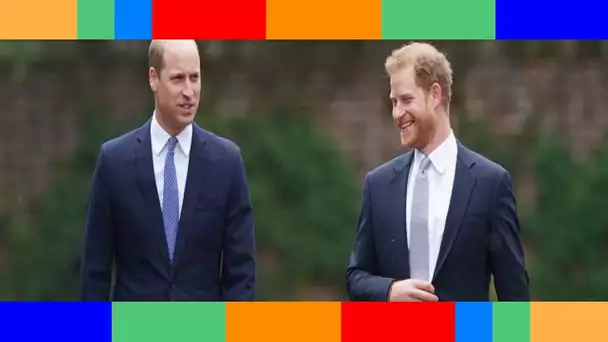 Harry et William, frères ennemis  cette tradition qu’ils avaient avant de célébrer Noël