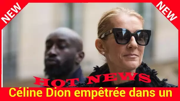 Céline Dion empêtrée dans un scandale financier, se défend