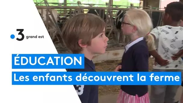 Des élèves de CE1 en immersion dans le monde de l'agriculture