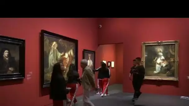 Le 'siècle d&#039;or hollandais' exposé au Louvre d&#039;Abu Dhabi