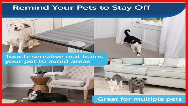 PetSafe ScatMat Indoor Training Mat, Sofa, 60 in X 12 in