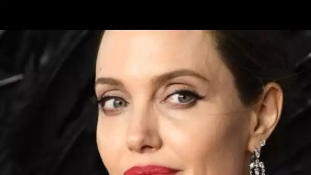 PHOTO Angelina Jolie en couple avec un célèbre chanteur ? Des clichés sèment le...