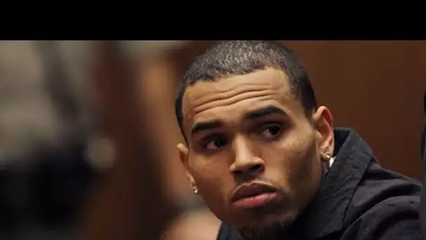 Chris Brown : Son chien euthanasié ? Il mord une employée jusqu’au sang, elle...