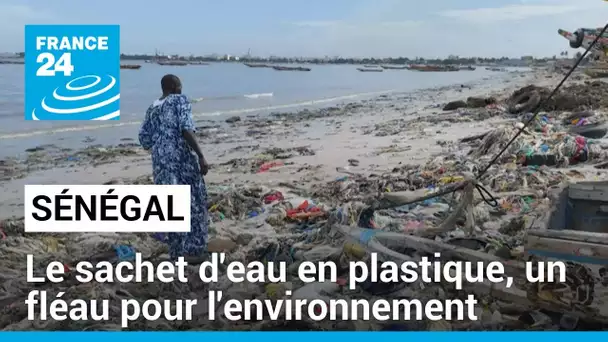 Sénégal : le sachet d'eau en plastique, un fléau pour la santé et l'environnement • FRANCE 24