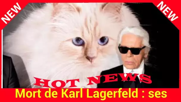 Mort de Karl Lagerfeld : ses dernières volontés écrites dans son testament